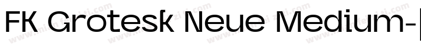 FK Grotesk Neue Medium字体转换